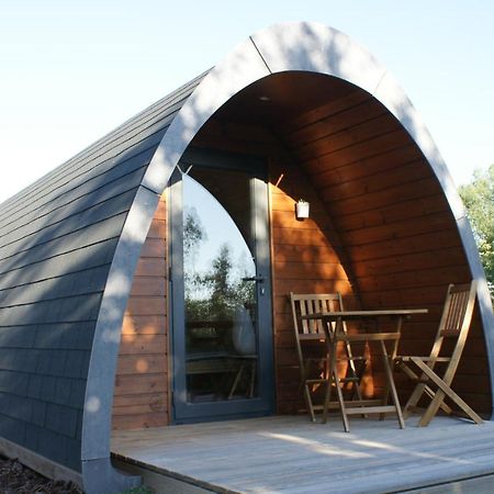 Casa Matilde - Alombada Family Lodge Águeda Dış mekan fotoğraf